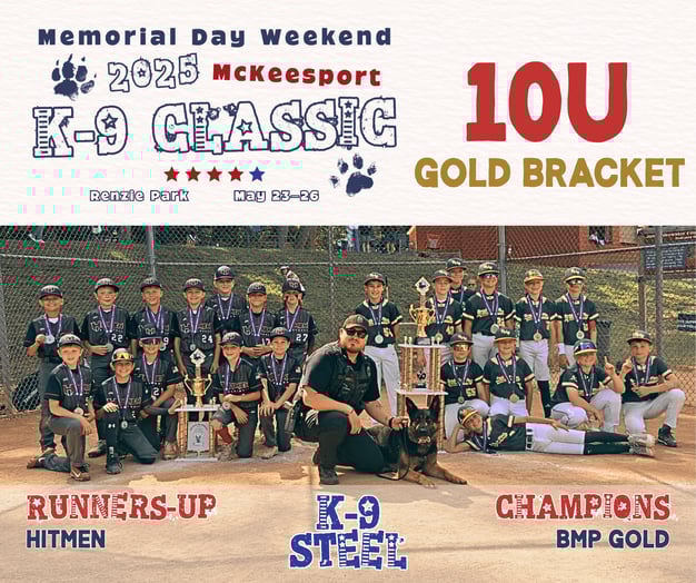 10U Gold Bracket