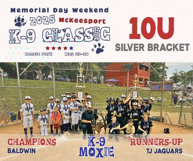 10U Silver Bracket