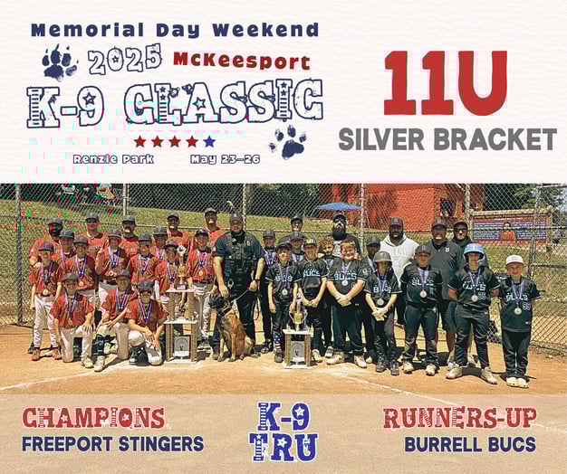 11U Silver Bracket