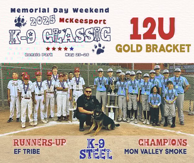 12U Gold Bracket