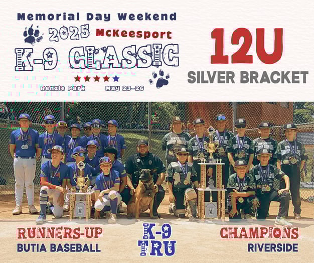 12U Silver Bracket