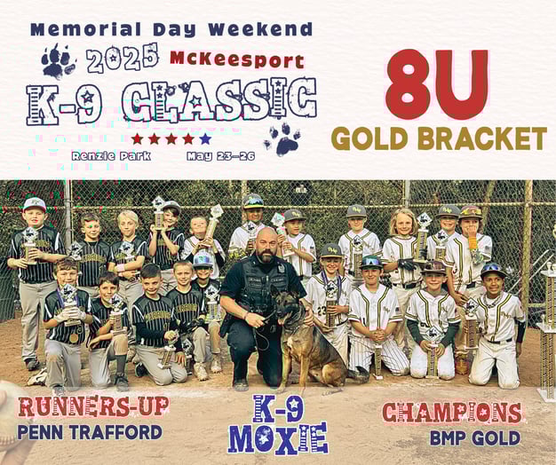 8U Gold Bracket