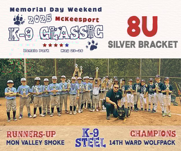 8U Silver Bracket