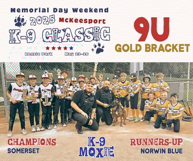 9U Gold Bracket