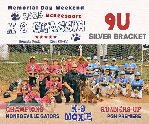 9U Silver Bracket